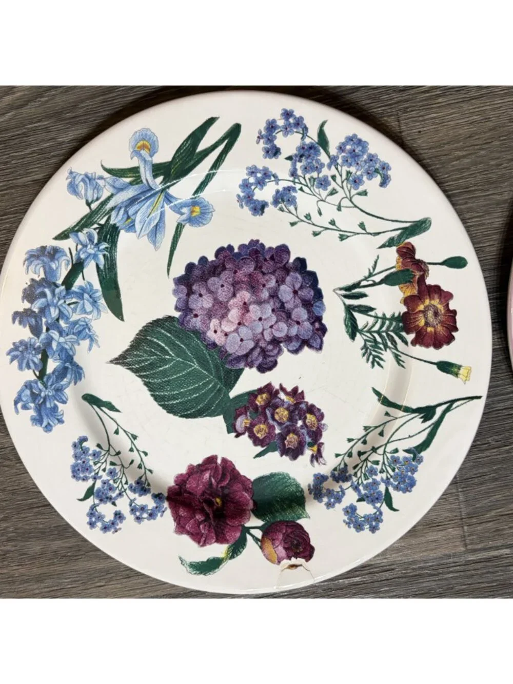 Williams Sonoma RB Bernarda Portugal Floral Salad Plates Hydrangea Set of 6 VTG